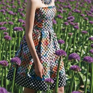 Anthropologie Corey Lynn Calter floral  dot dress